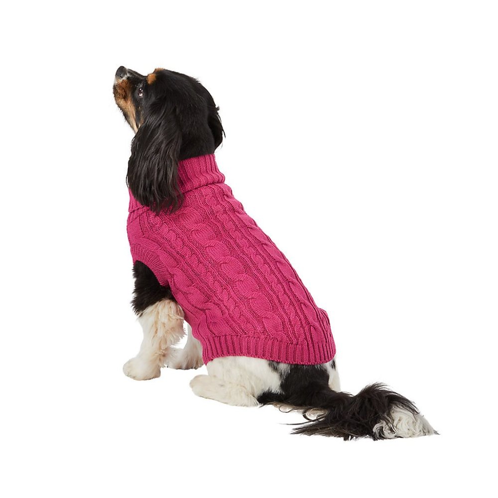 Warm and snuggly dog sweater